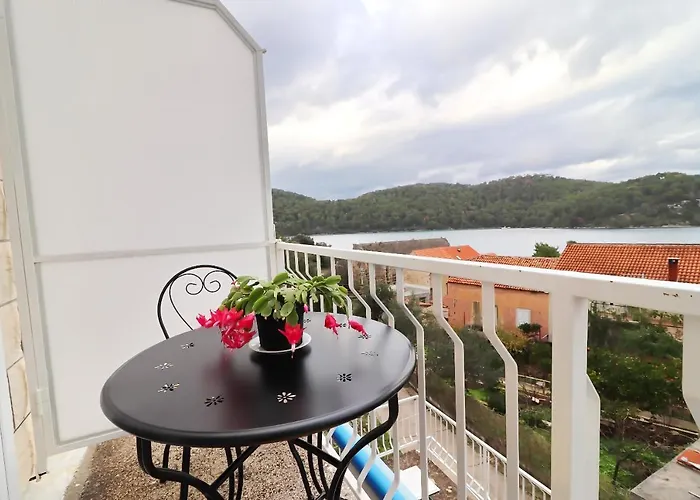 Nodilo 公寓 Polače